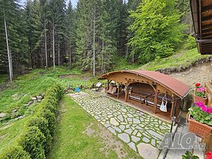 image_23