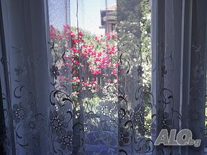 image_21