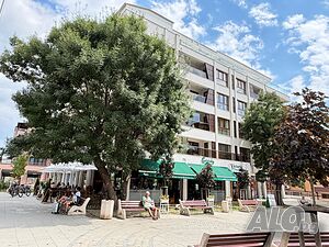 image_29