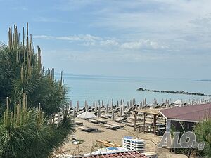 image_25