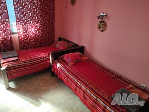 Стая под наем Стая 3 места Аспарухово