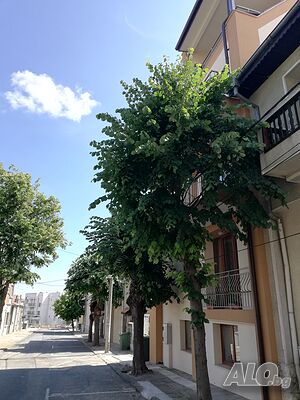 image_25