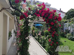image_32