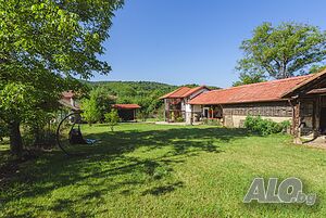 image_31