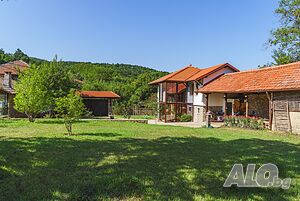 image_10