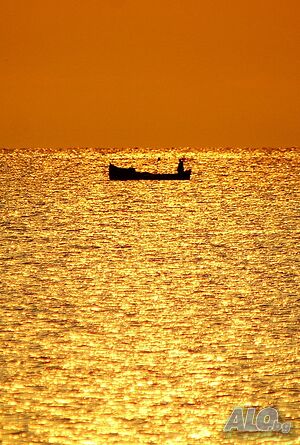 image_27