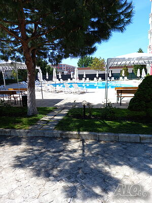 image_11