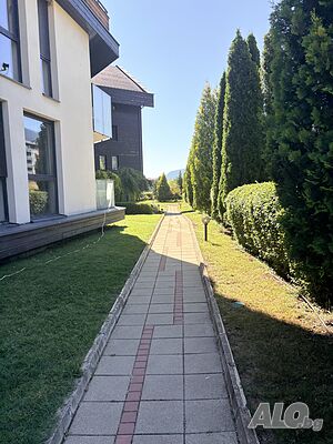image_18