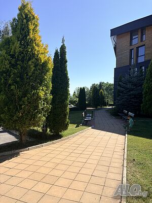 image_19
