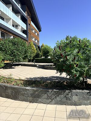image_21