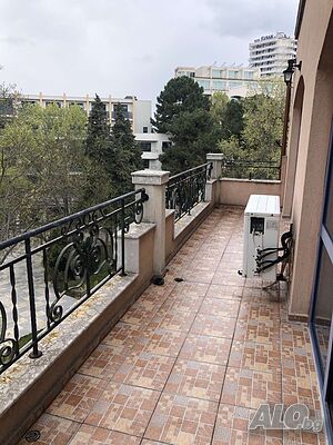 image_11