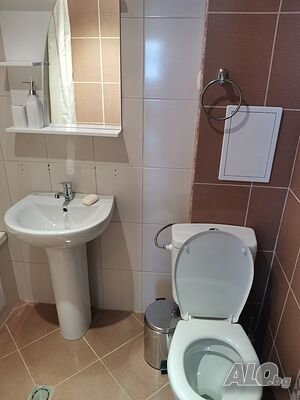 image_11