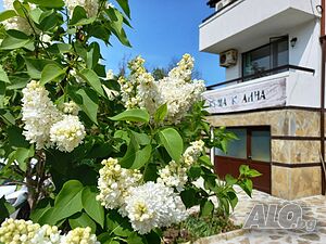 Къщи за гости Почивка във ВИЛА ”КАЛИНА”, с. Велика / на 3 км от морския курорт Лозенец/