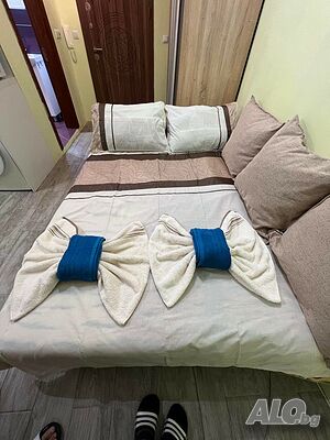 image_11