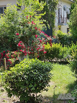 image_12